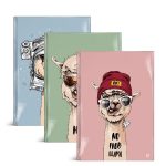 Fun Llama A4 Hardback Notebook