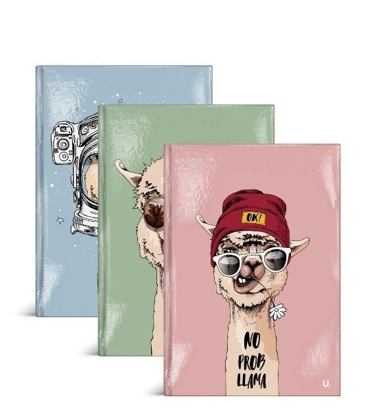 Fun Llama A5 Hardback Notebook